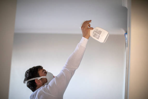 Best Mold Cleaning Services  in Storrs, CT